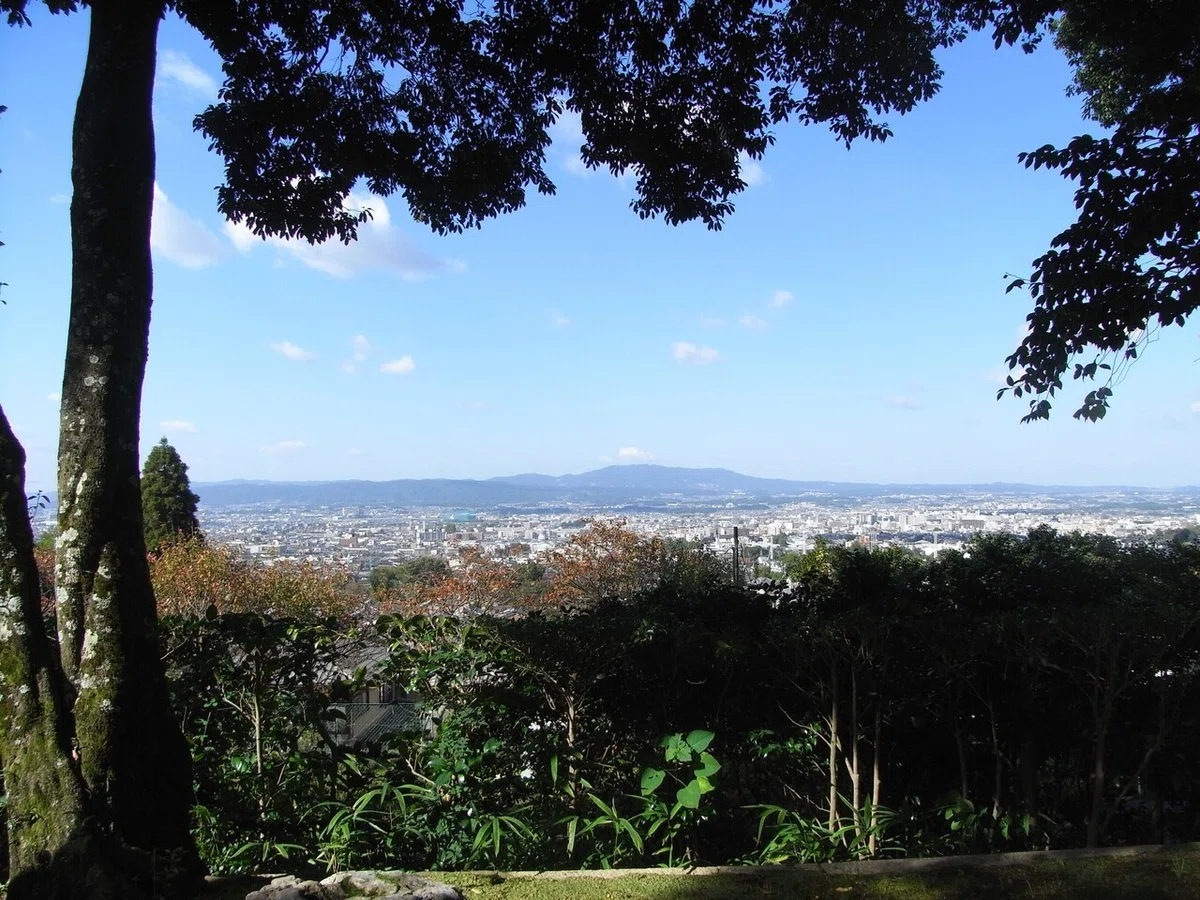 画像6