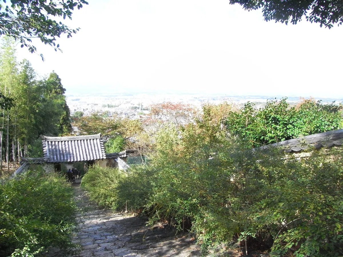 画像9