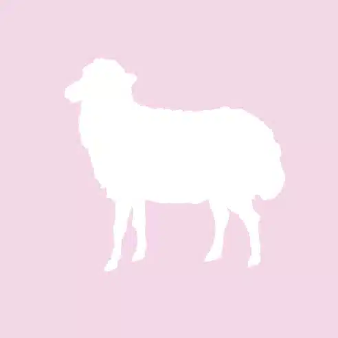 sato