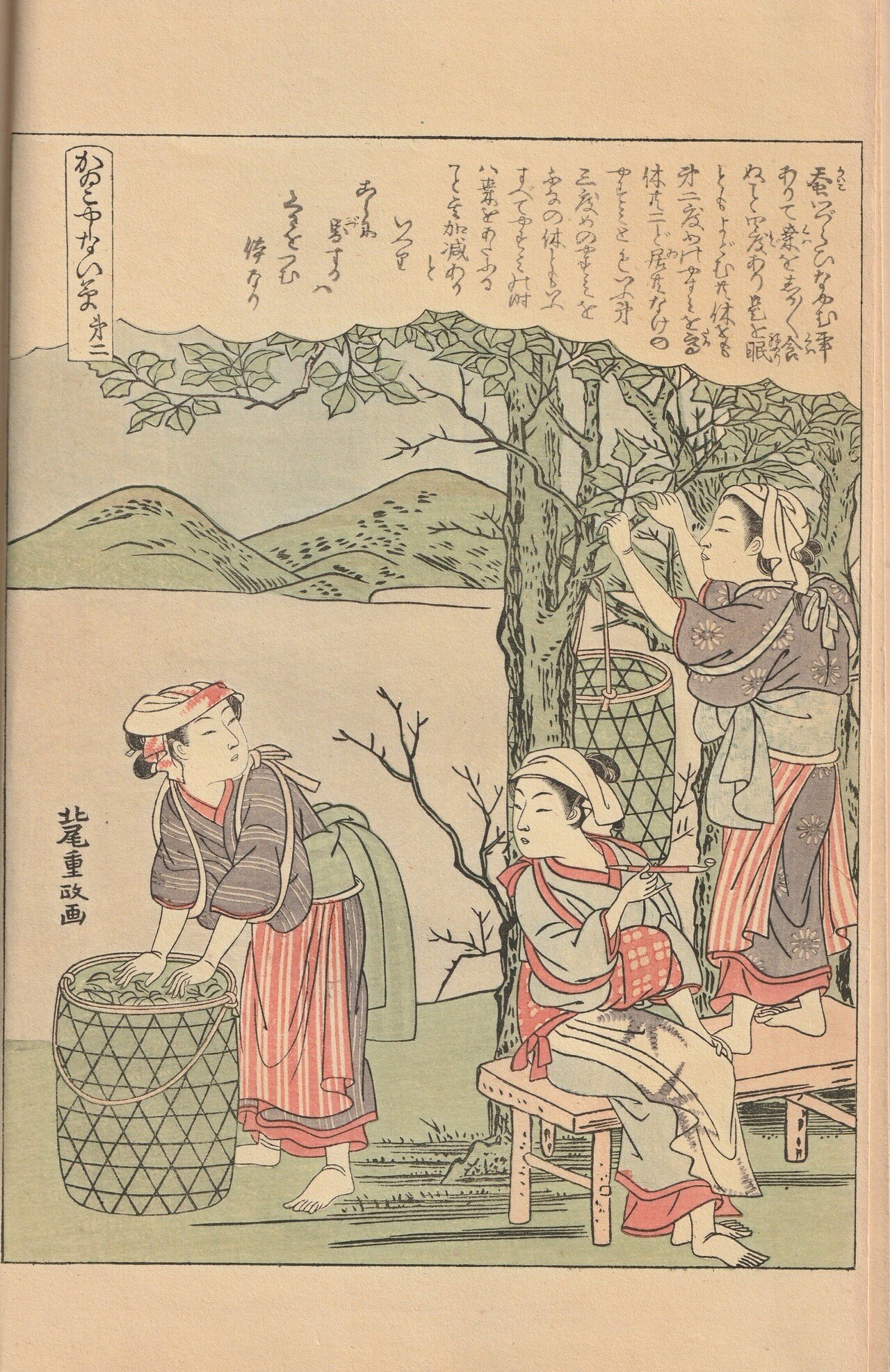 江戸時代の女性の養蚕に勤しむ様子を知る！古文書『絵本宝能縷