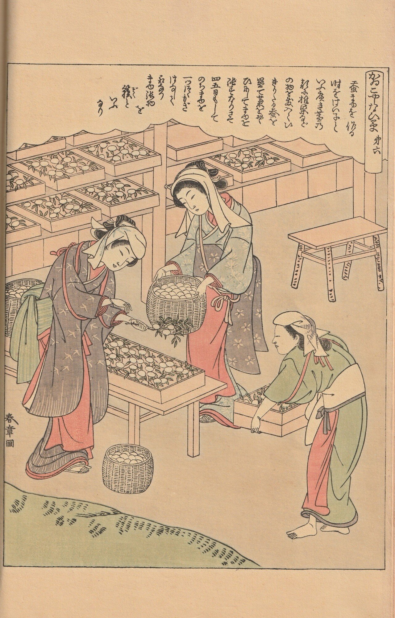 江戸時代の女性の養蚕に勤しむ様子を知る!古文書『絵本宝能縷 江戸時代の女性の養蚕に勤しむ様子を知る!古文書『絵本宝能縷