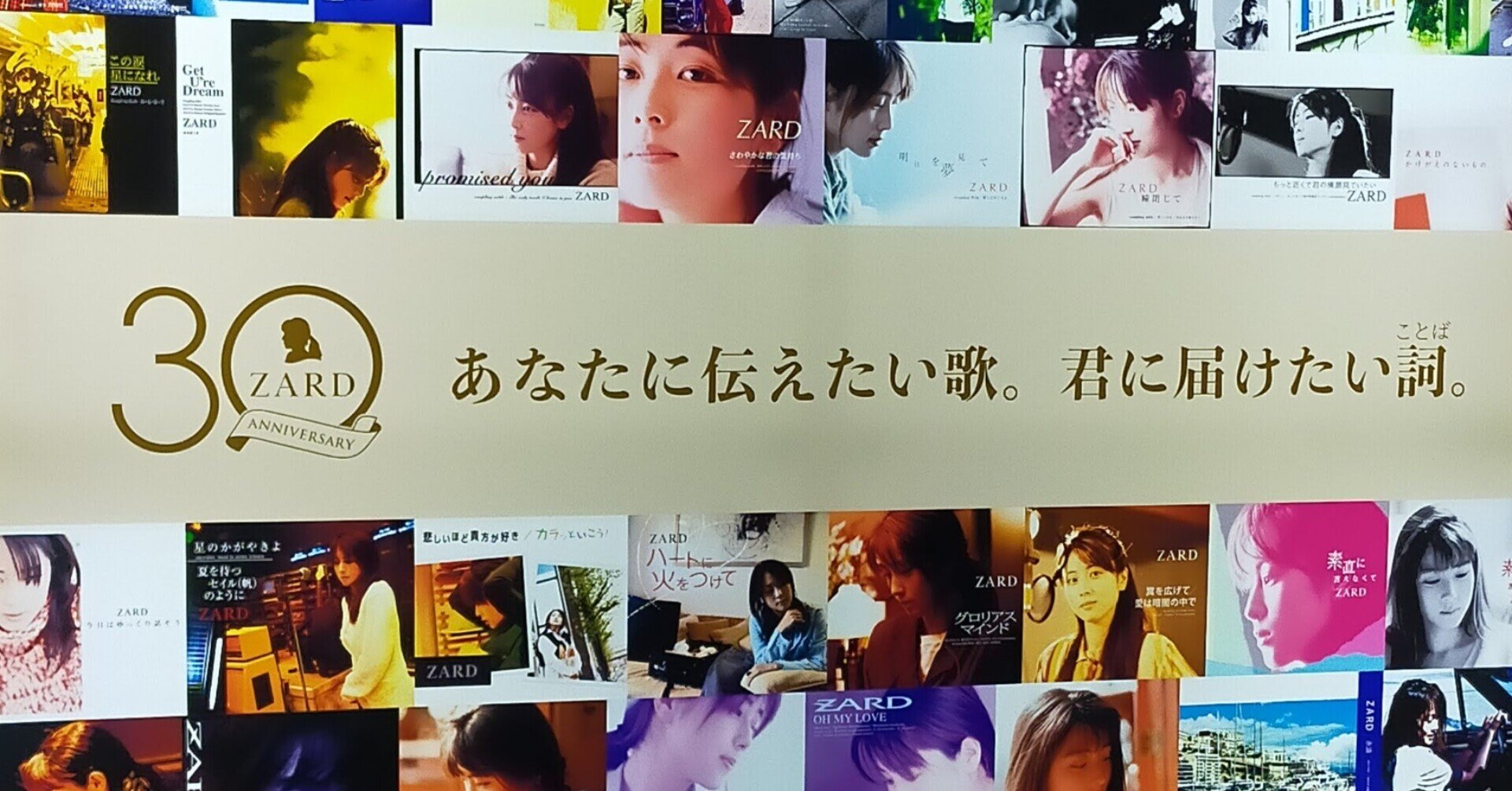 ZARD『Today is another day』｜ゲッティ