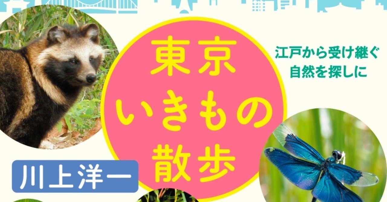 親子で自由研究 都市部でもセミの羽化が簡単に見られるコツ 動画あり 東京いきもの散歩 番外篇 Hayakawa Books Magazines B