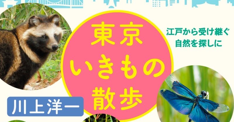 【親子で自由研究】都市部でもセミの羽化が簡単に見られるコツ（動画あり）　『東京いきもの散歩』番外篇