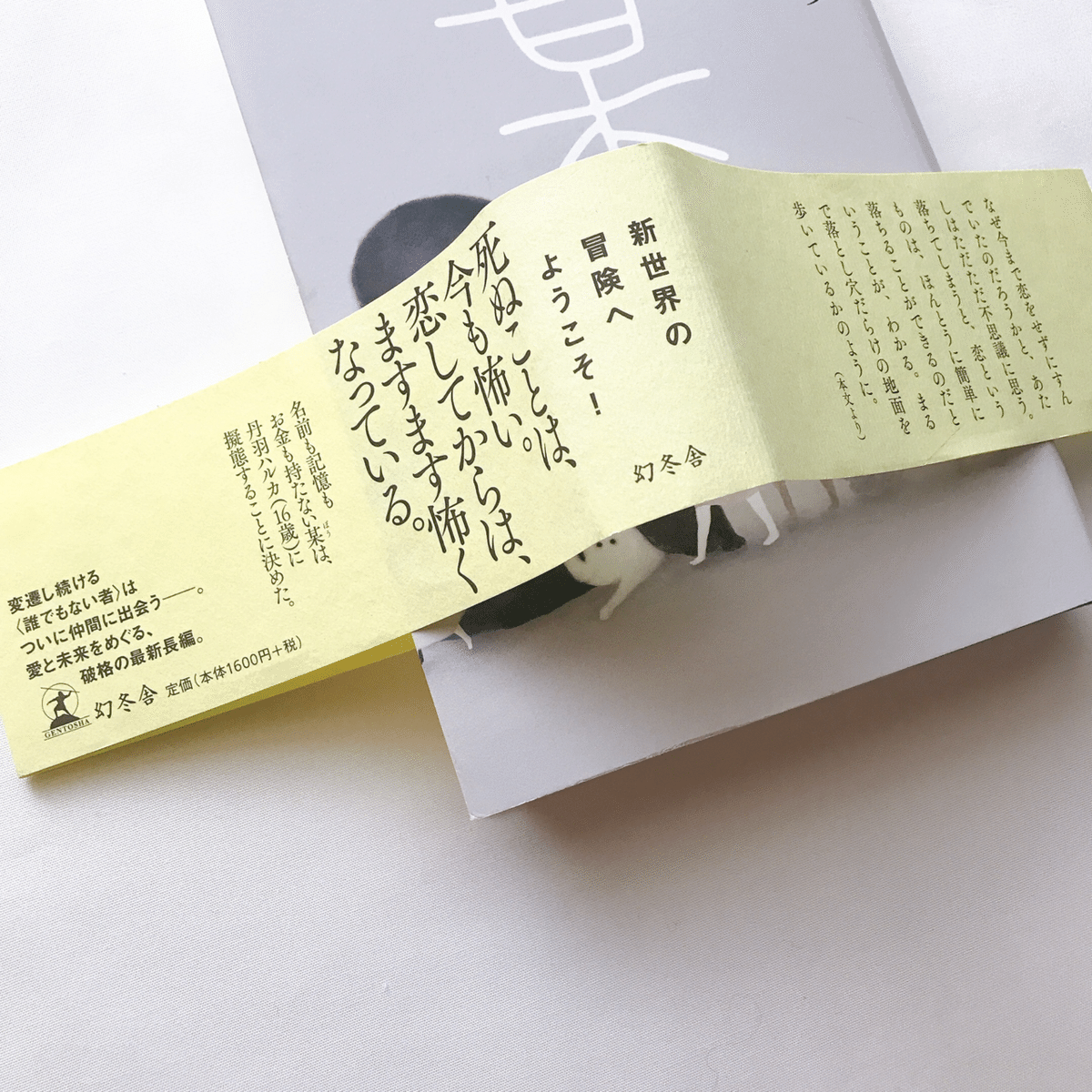 読書人間📚『某』川上弘美｜murata