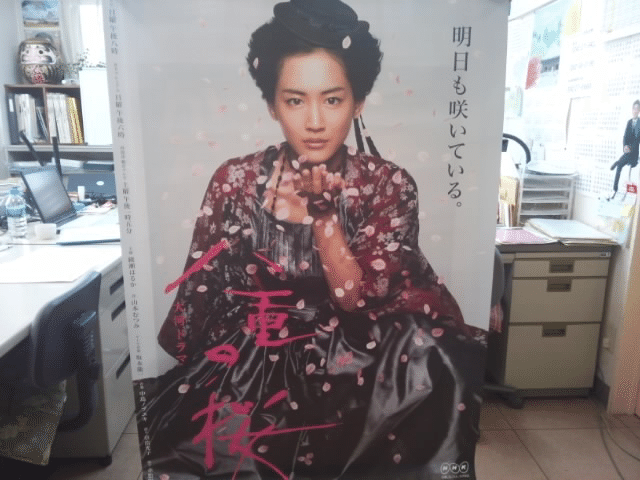 八重 の セール 桜 ポスター