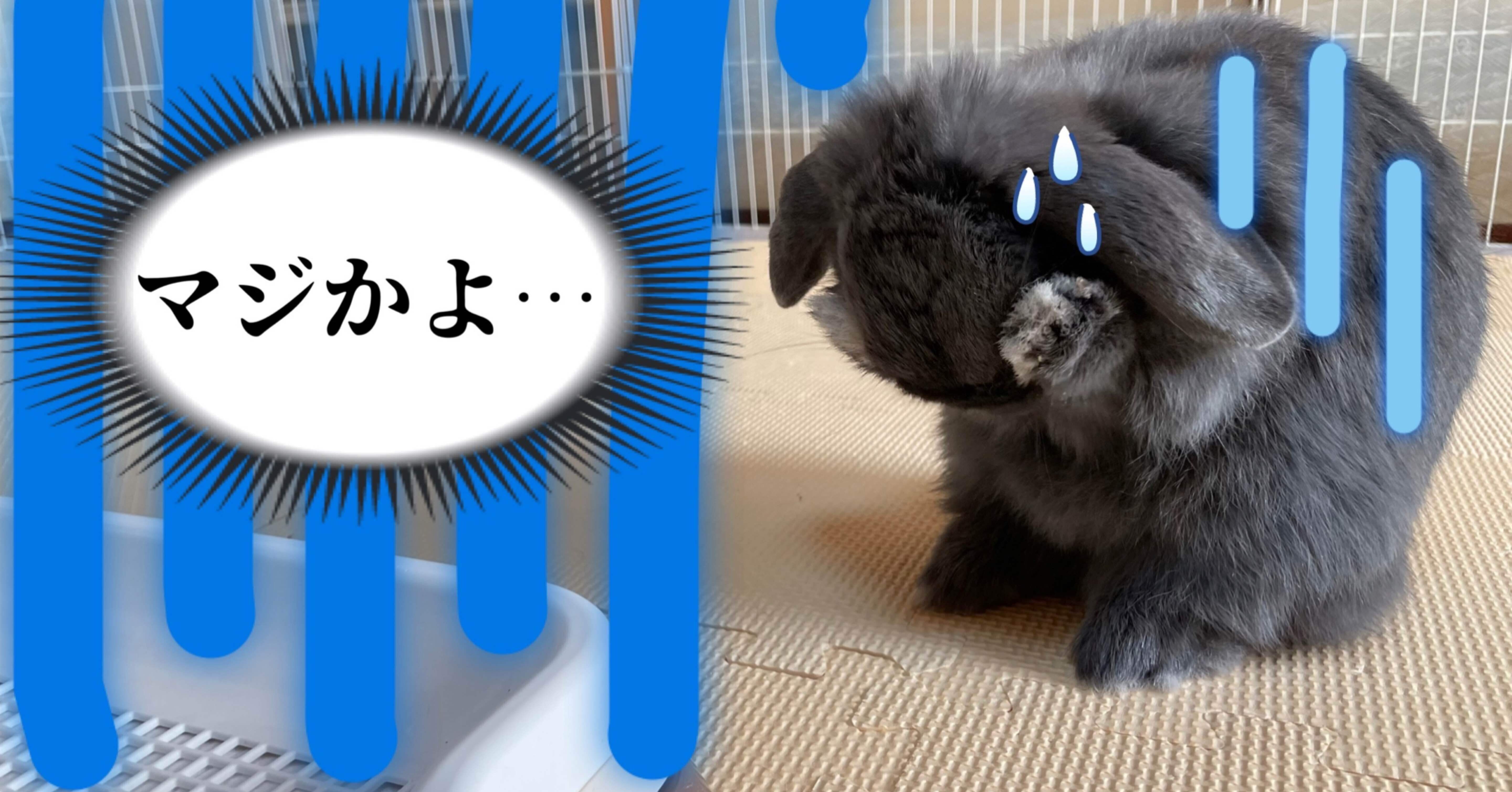 悲報】楽しみにとっておいたゲームが思ってたんと違うかった件｜げーら