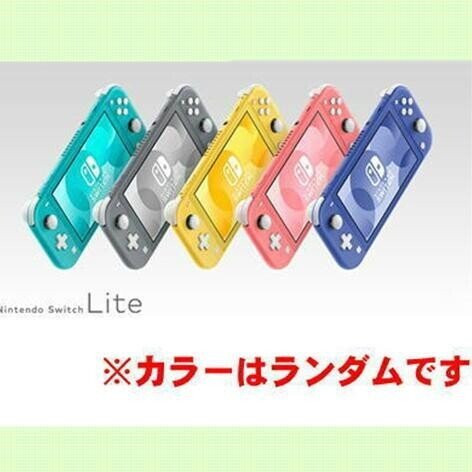  【アシストなし】Nintendo Switch Lite 　※カラーランダム※直送品