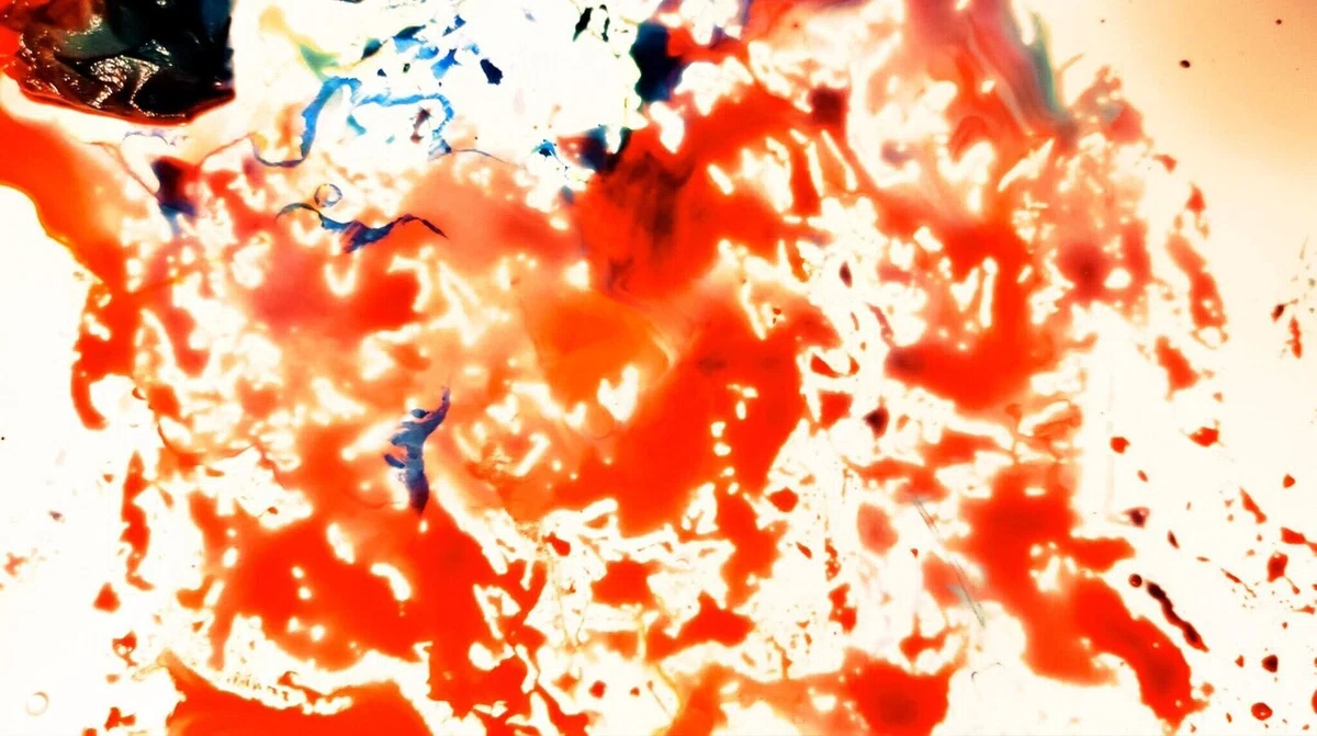 画像25