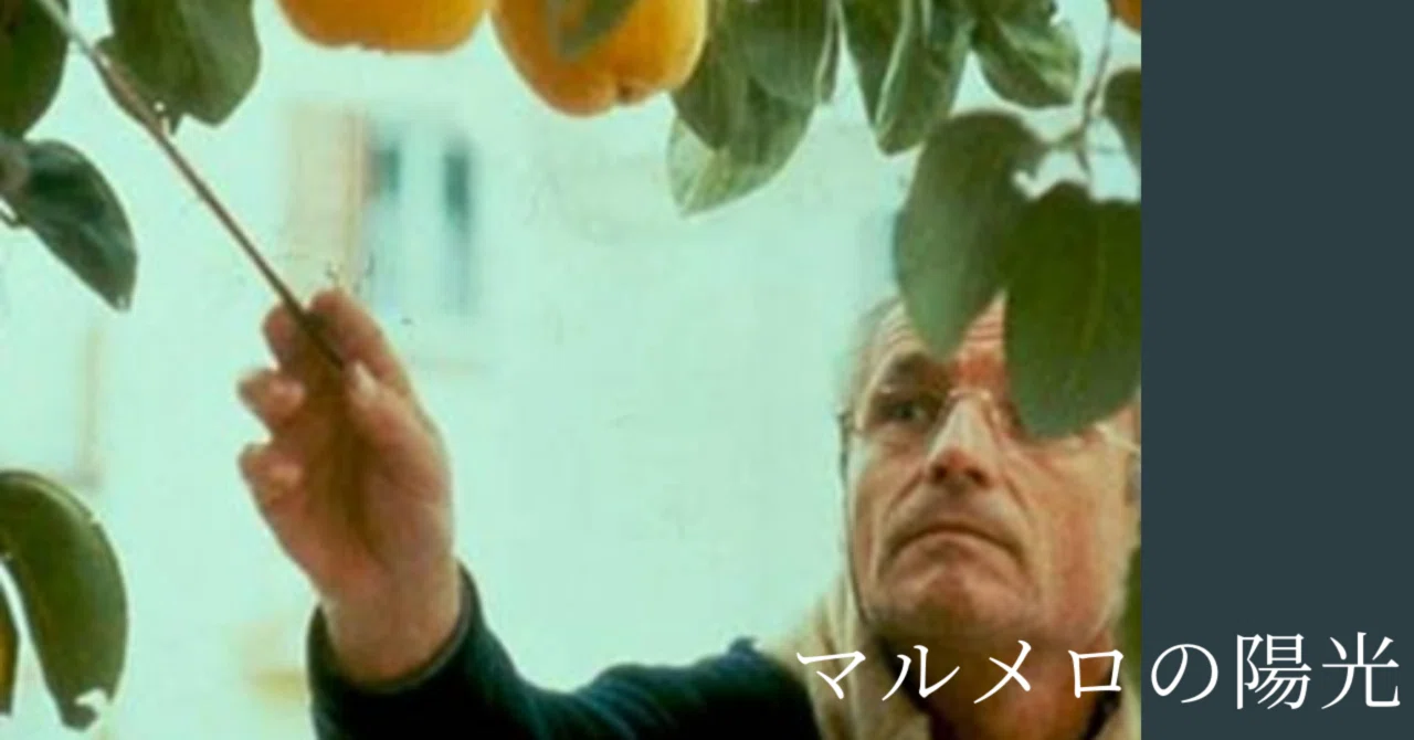 私史上、最も衝撃だった映画【マルメロの陽光】｜ダラ