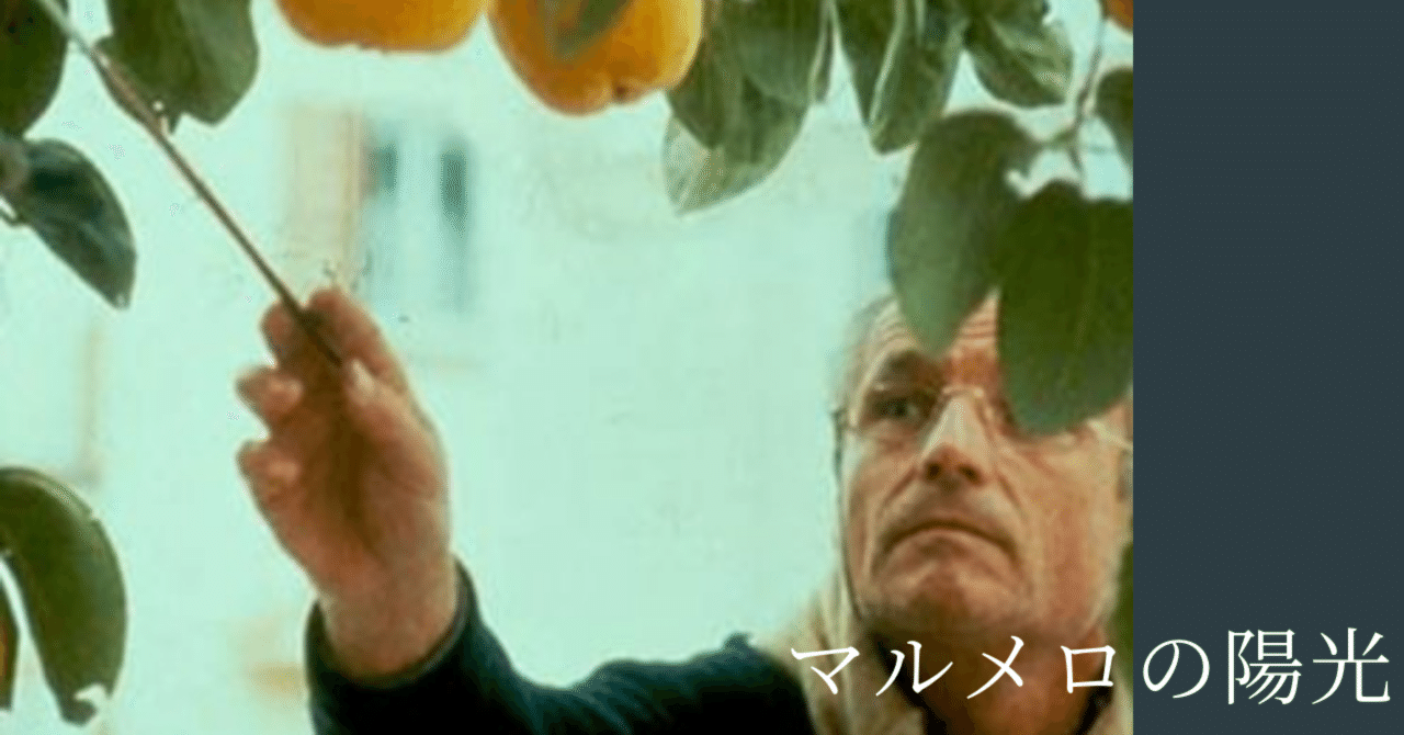 廃盤希少　マルメロの陽光　('92スペイン) エリセ　監督作品 マルメロの陽光('92スペイン) DVD ヴィクトル・エリセ - メルカリ