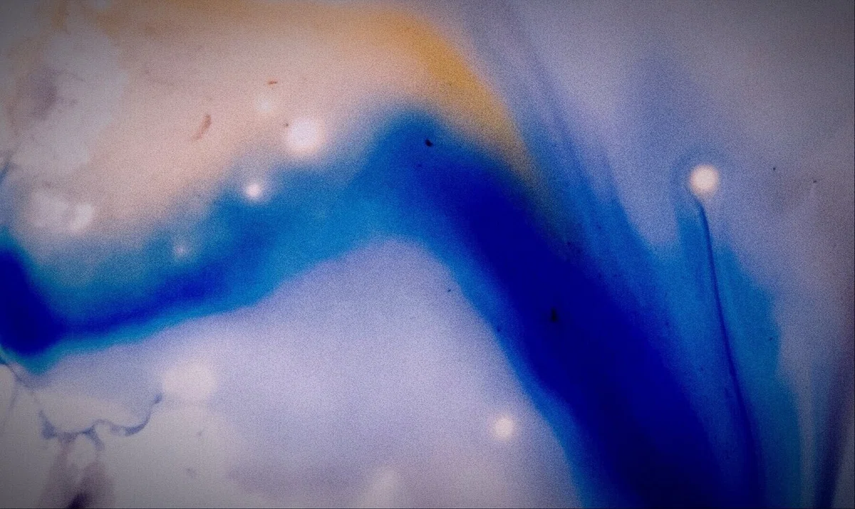 画像36