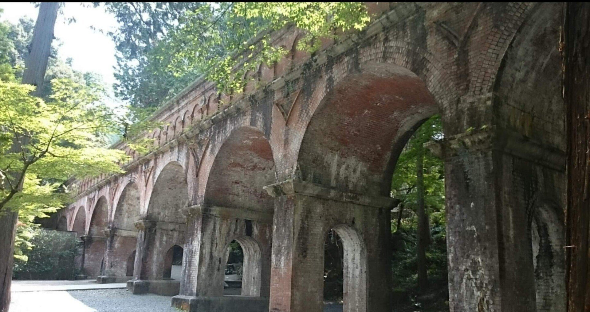 1bbc3c0949296fae228170a2f801e8