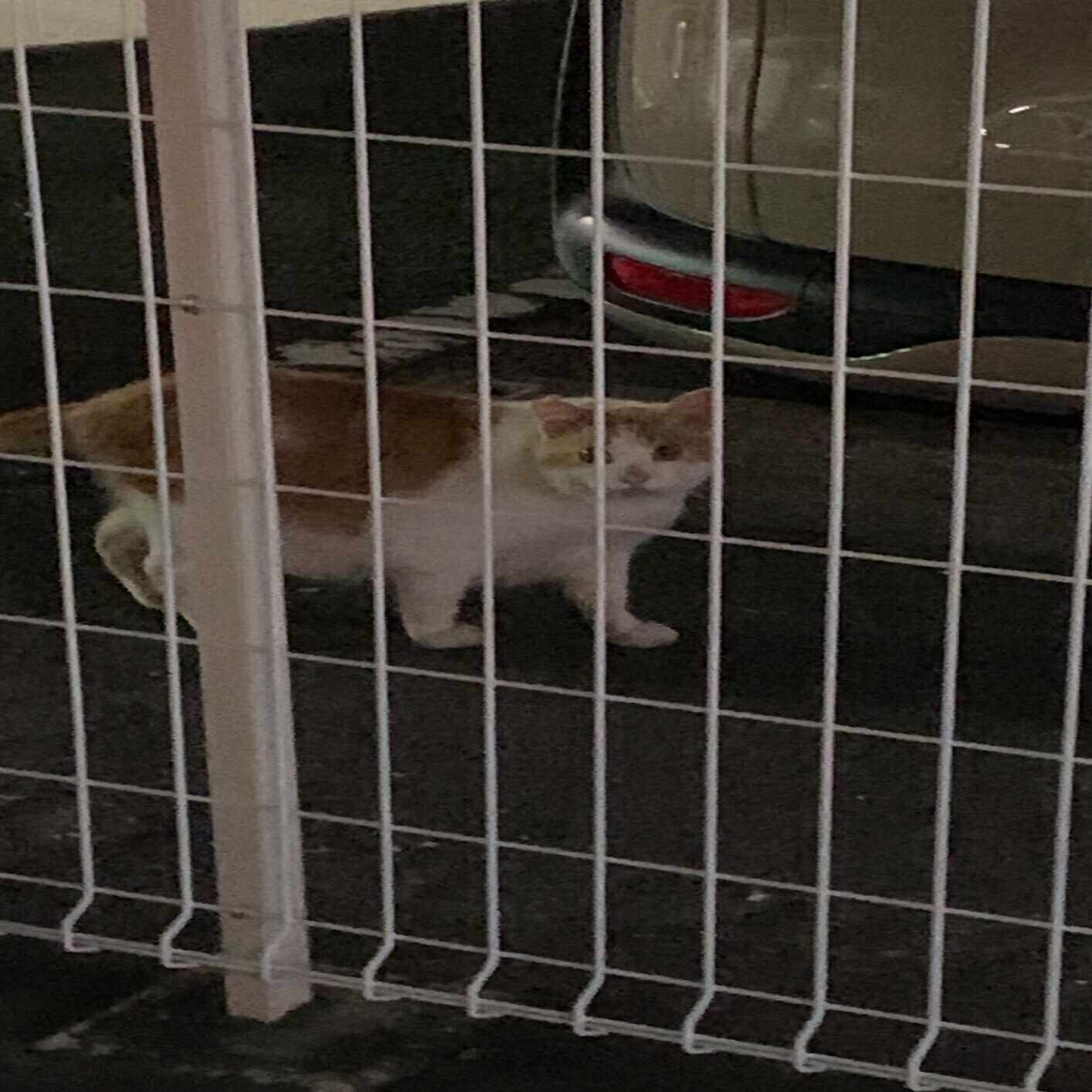 とある通信高校生