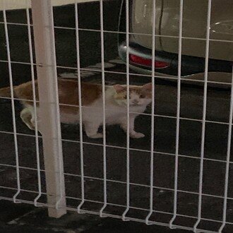 とある通信高校生