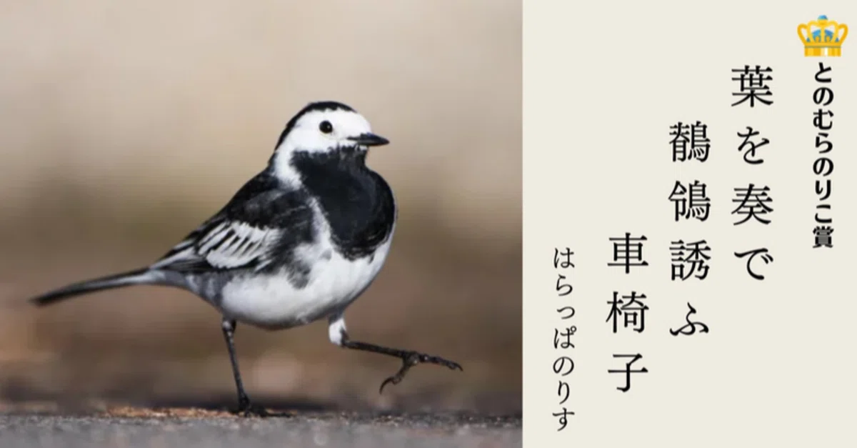 画像41
