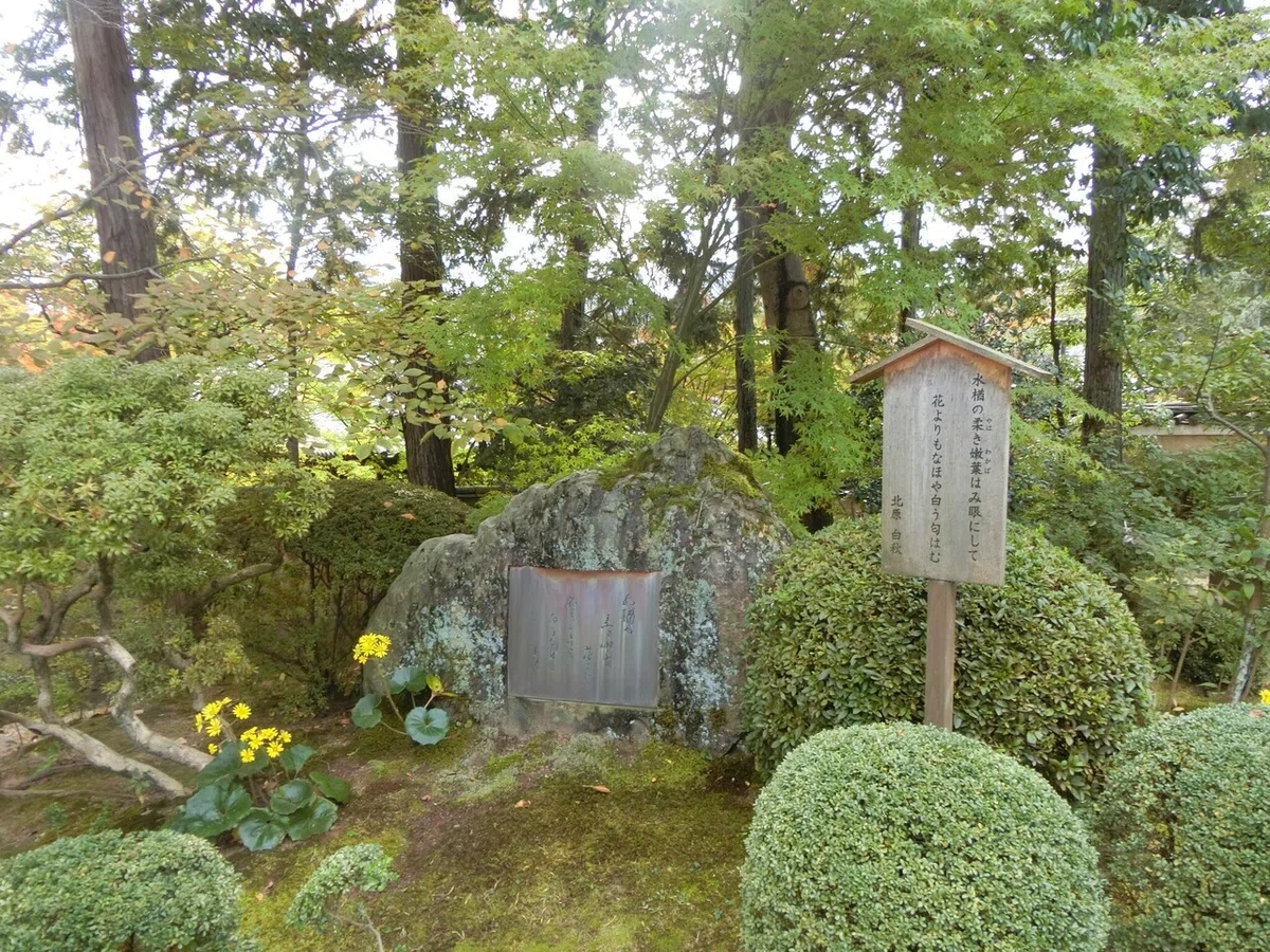 画像30