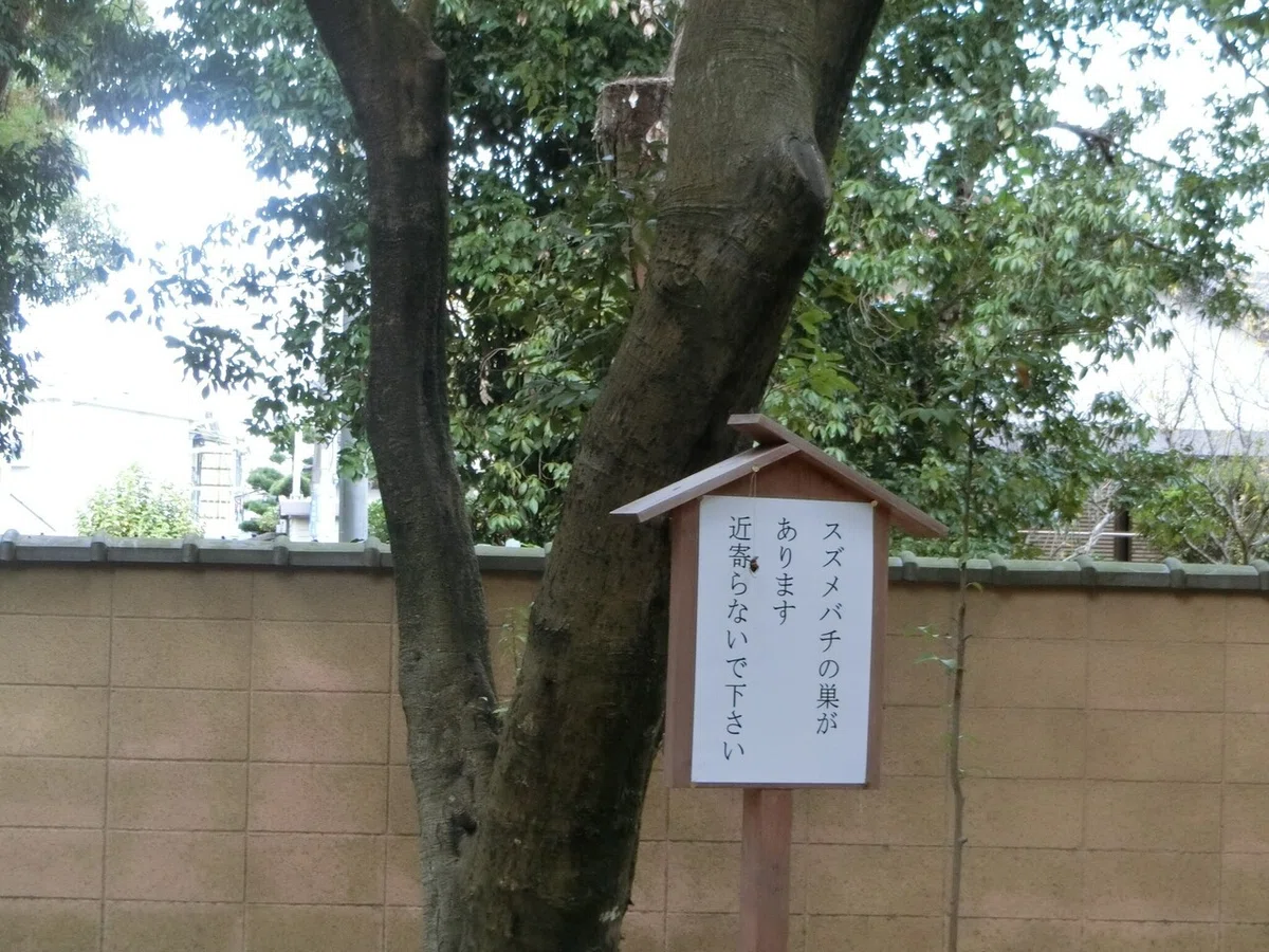 画像35