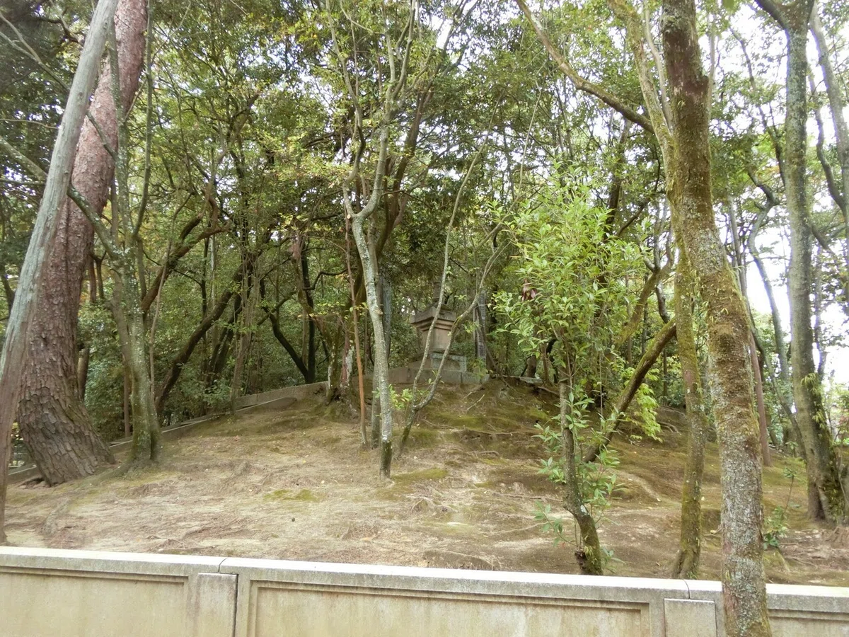 画像36