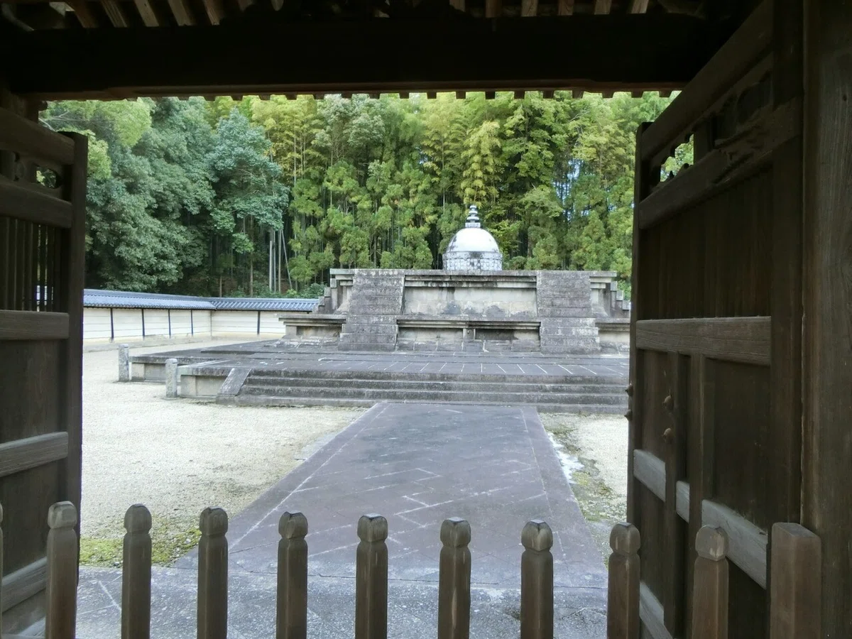 画像45