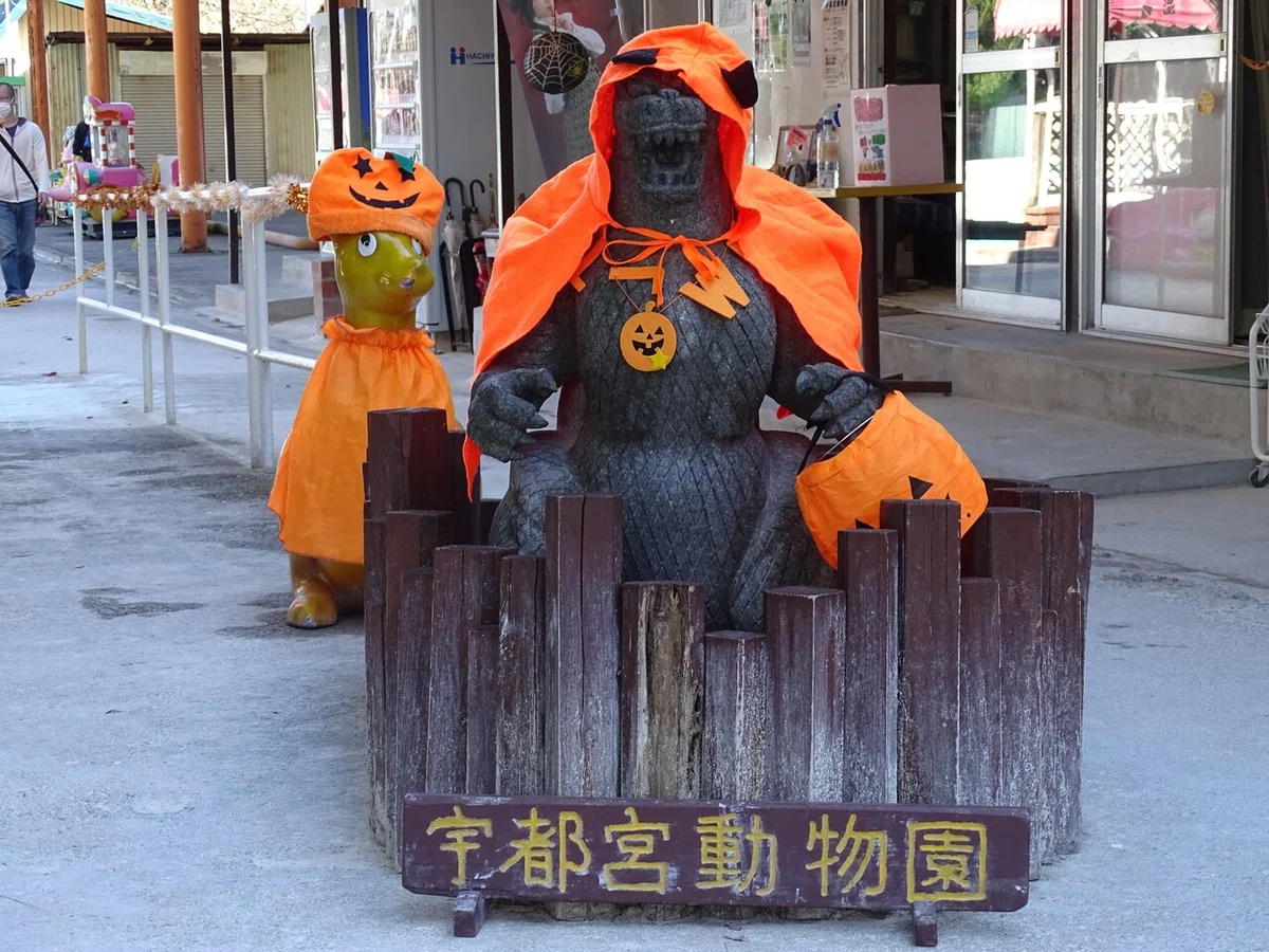 画像50
