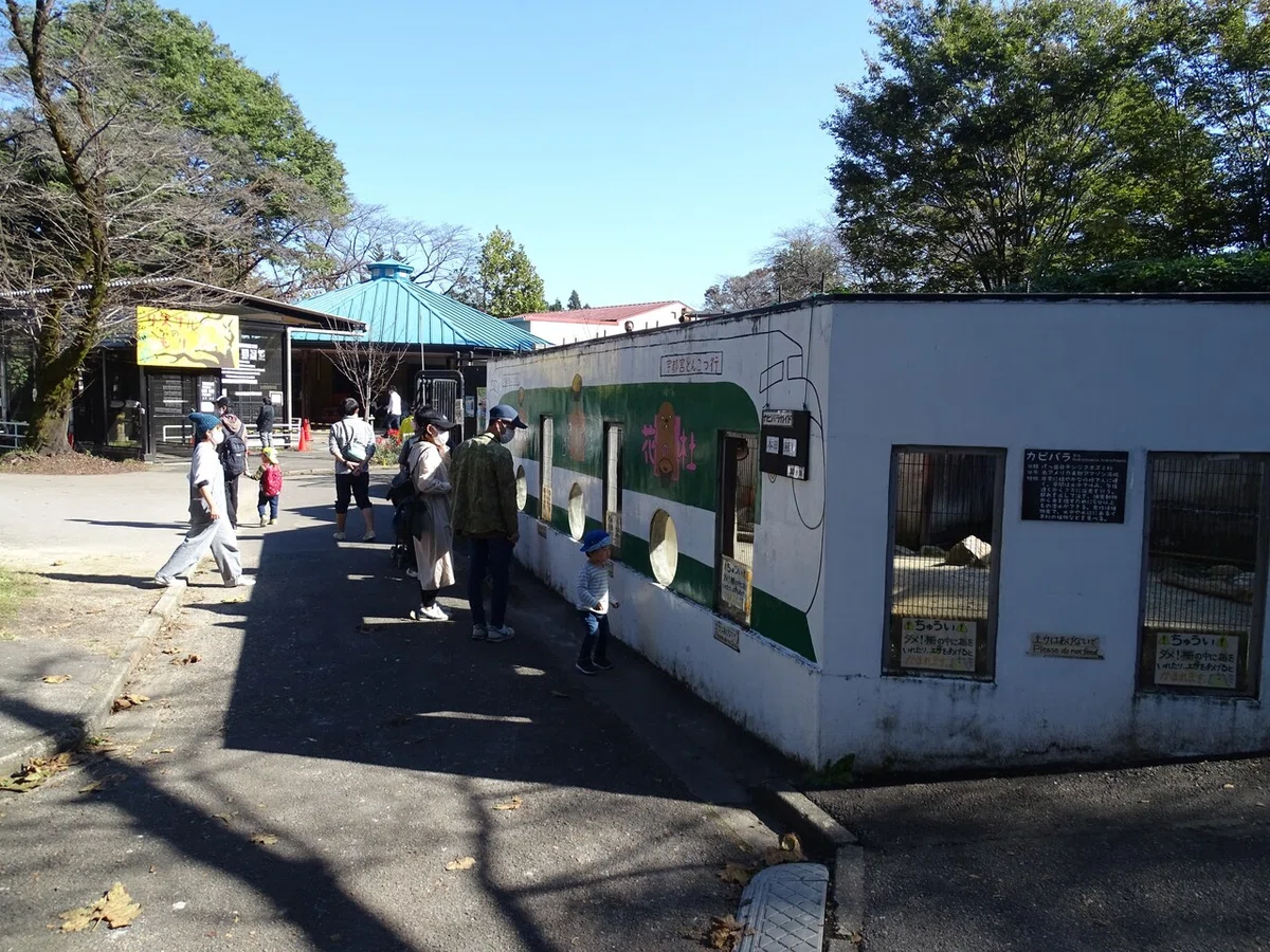 画像46
