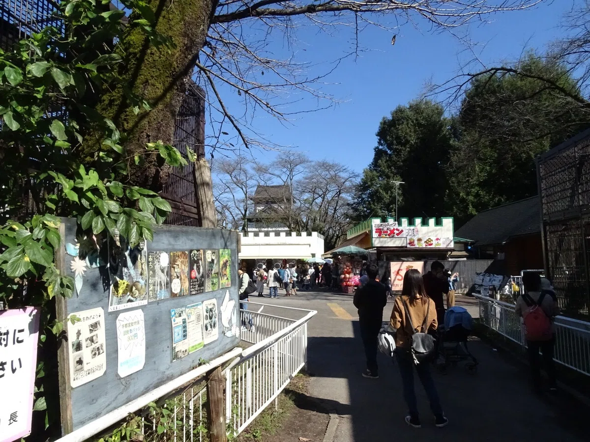 画像12