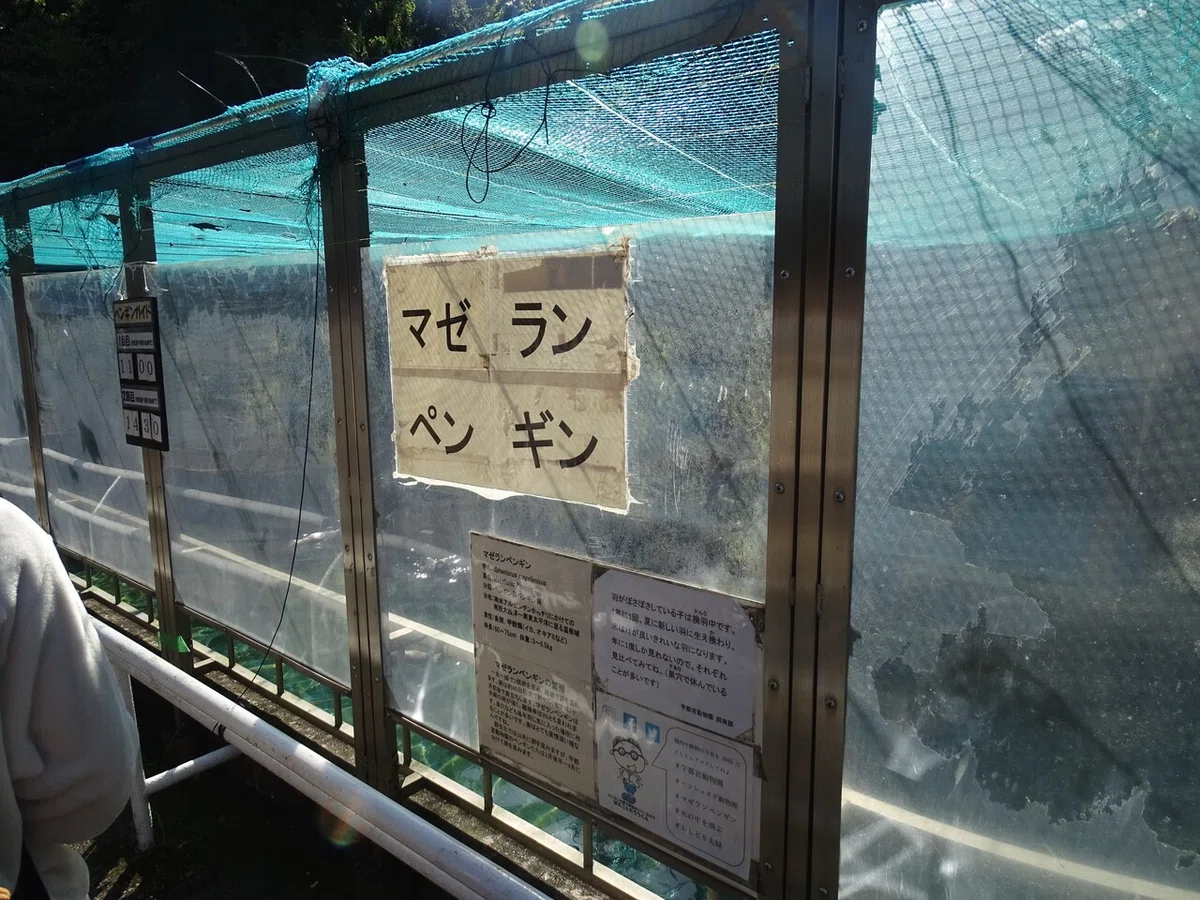 画像38