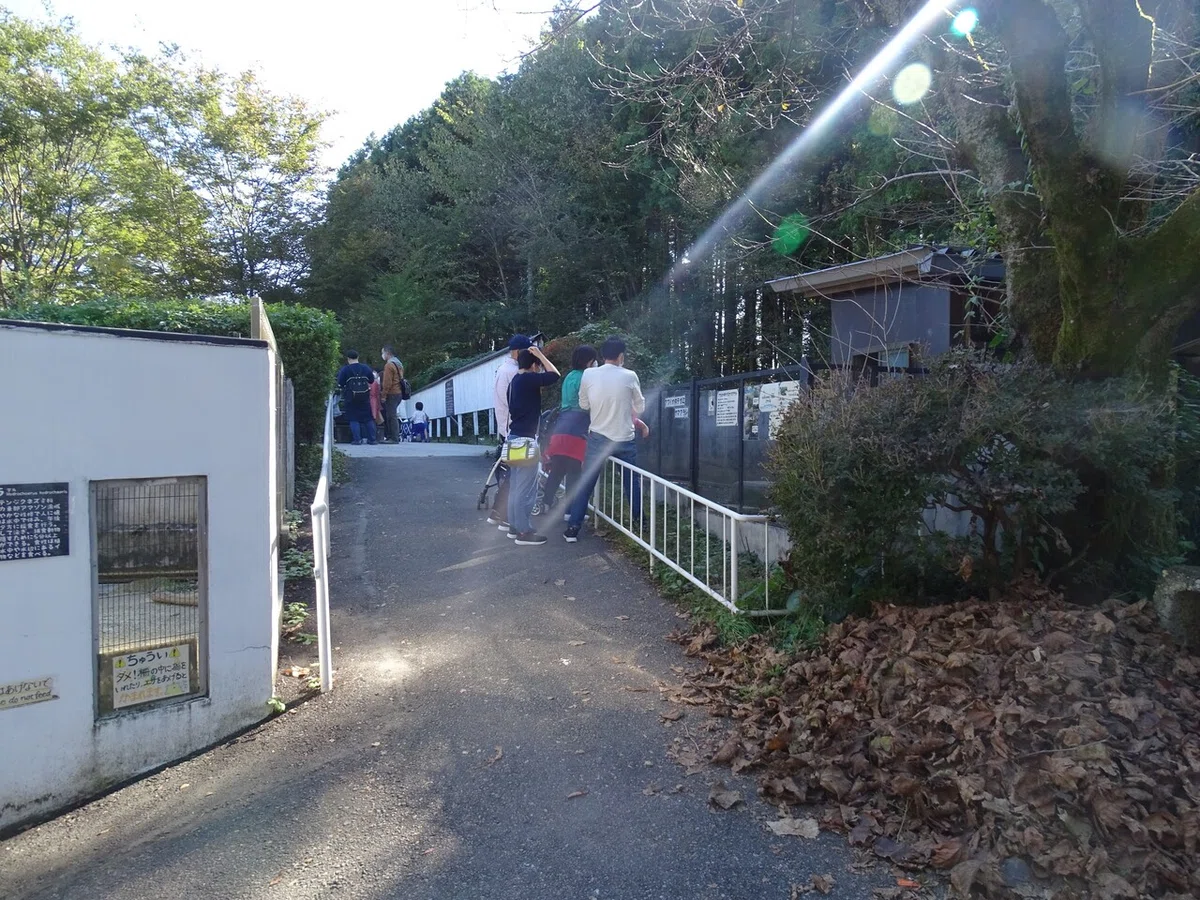 画像47