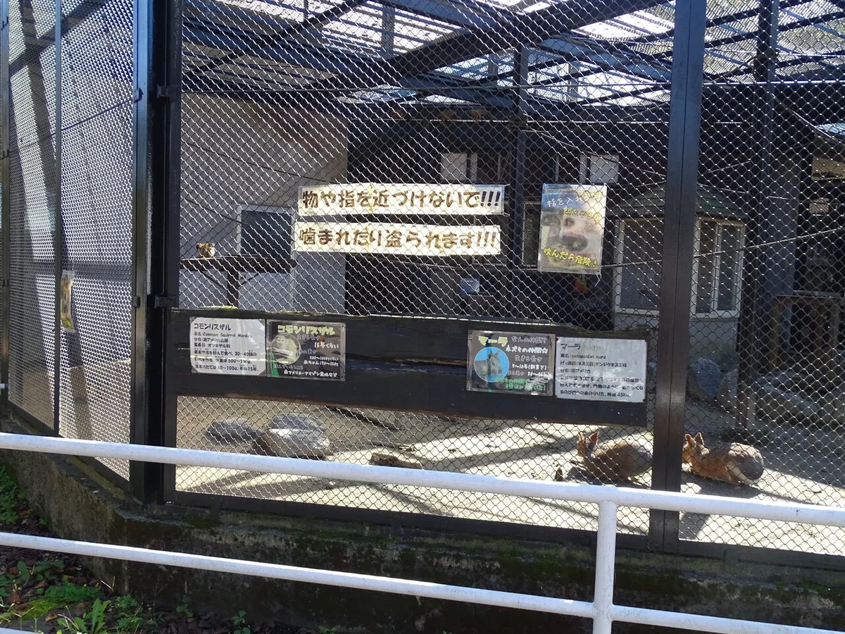 画像78