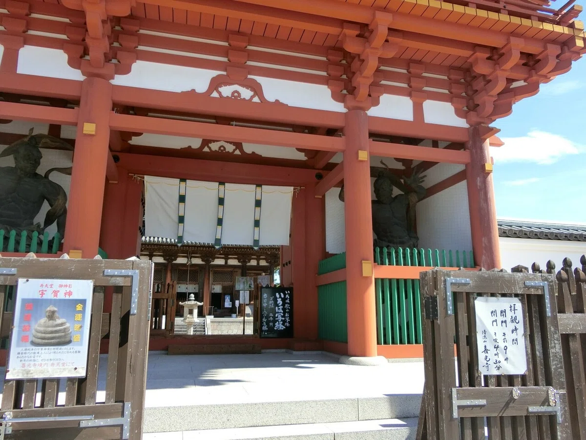 画像1