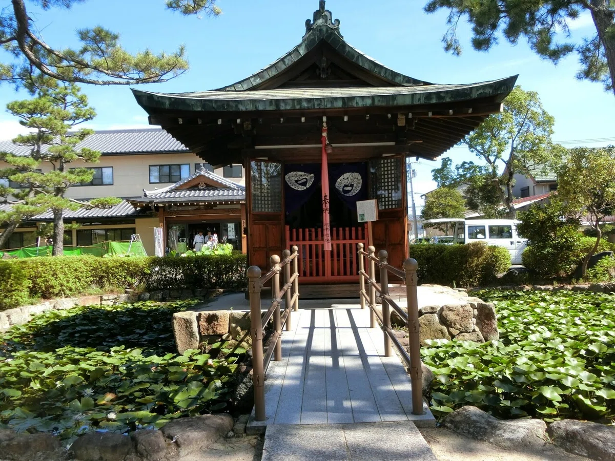 画像15