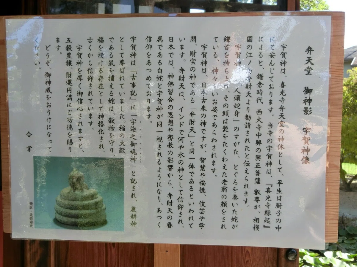 画像16