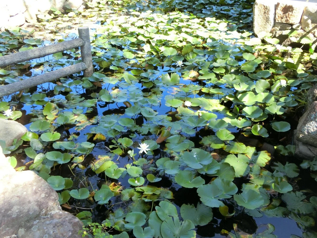 画像17