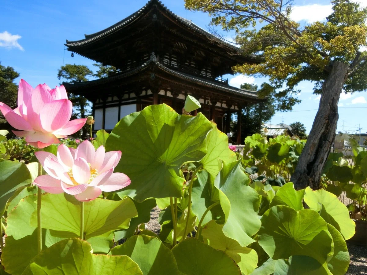 画像25