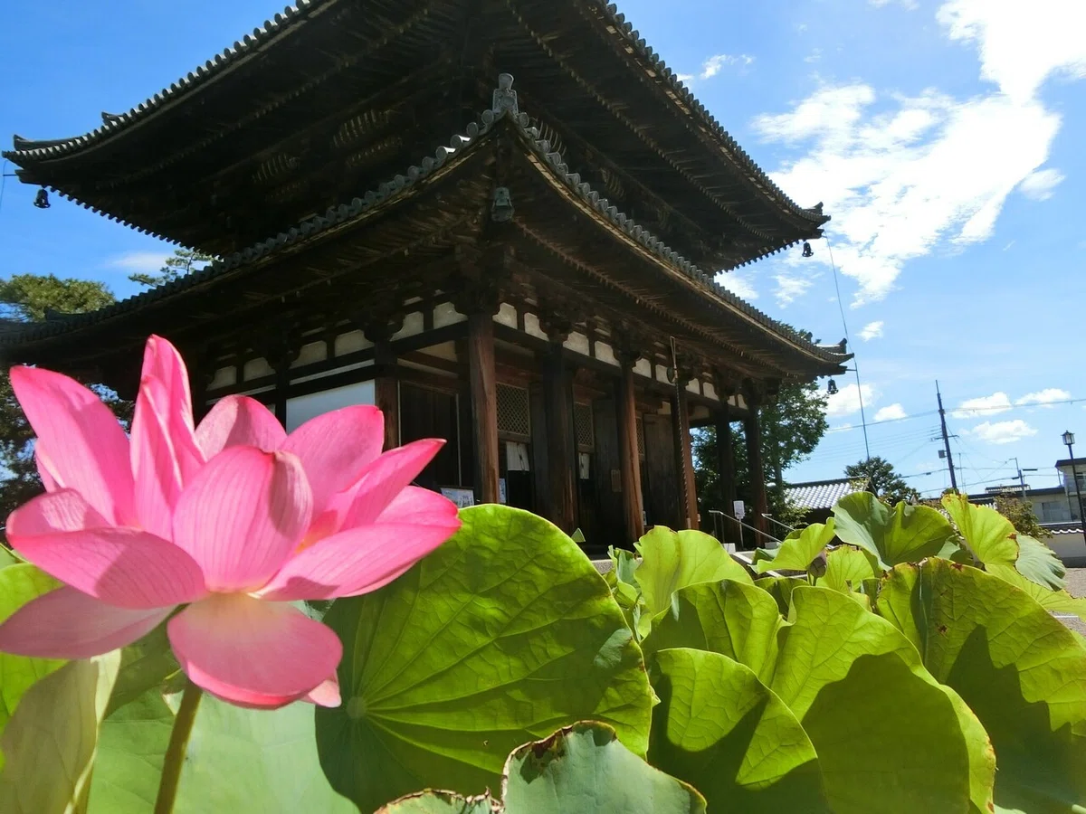 画像27