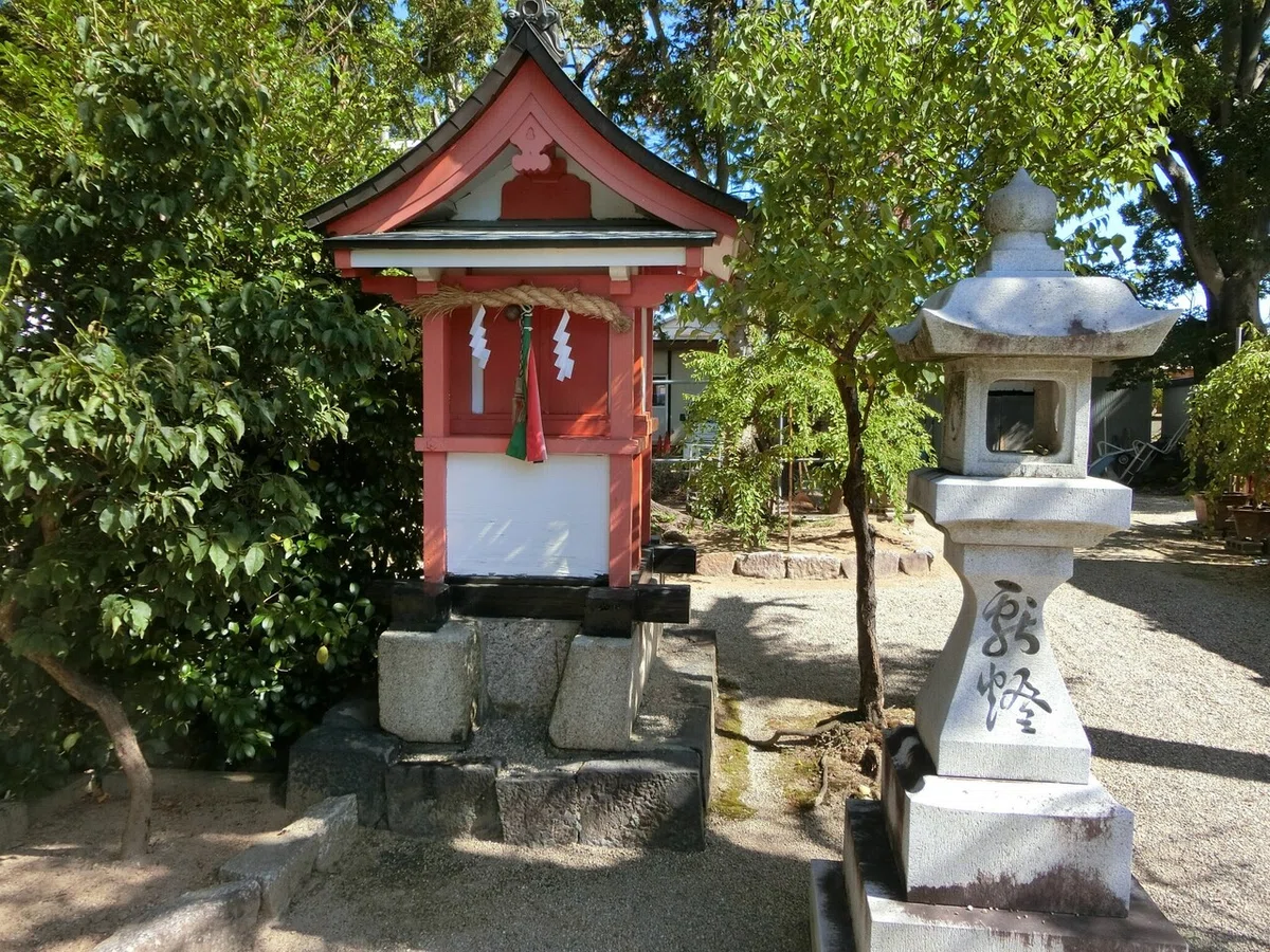 画像5