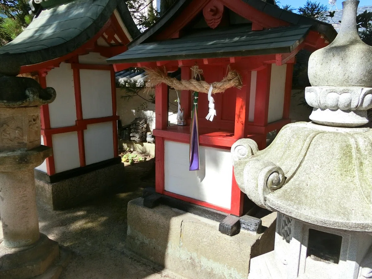 画像6