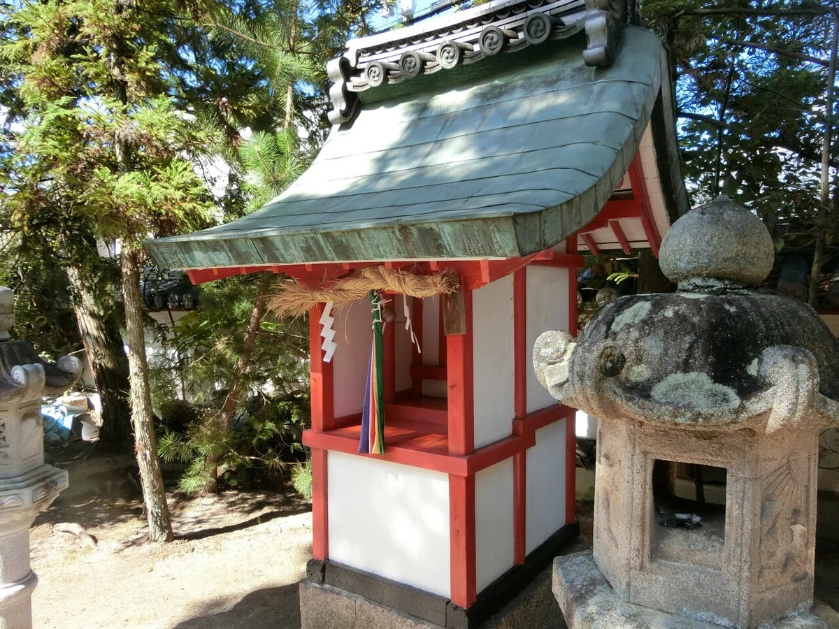 画像7
