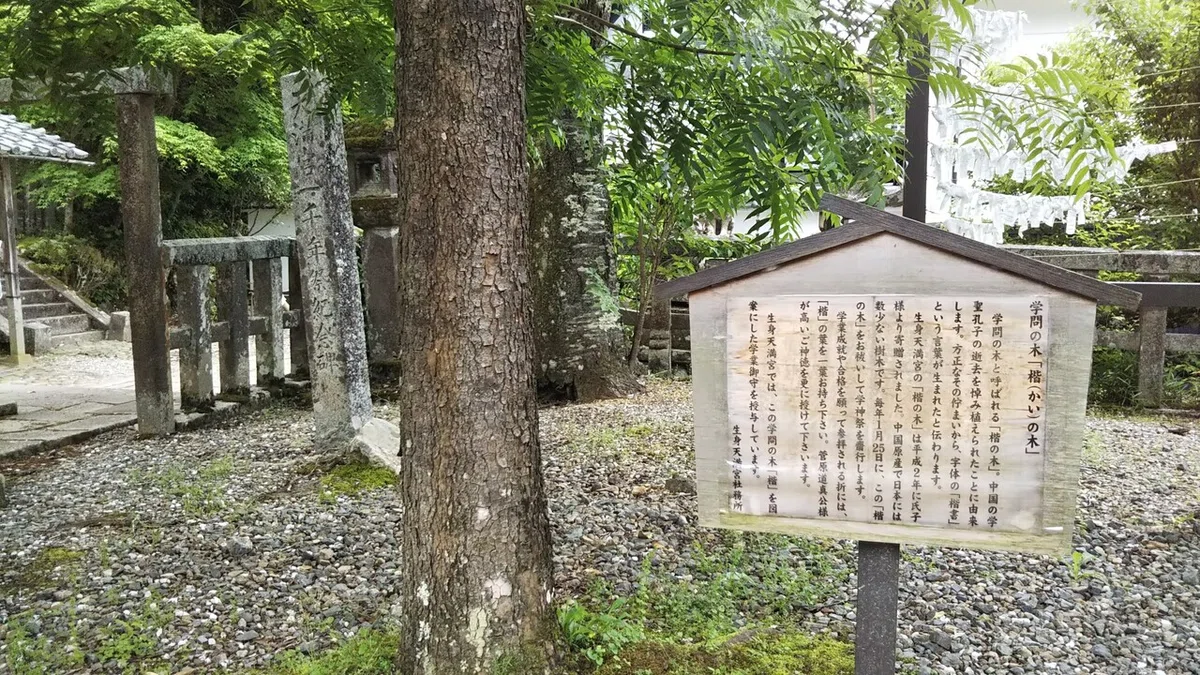 画像15