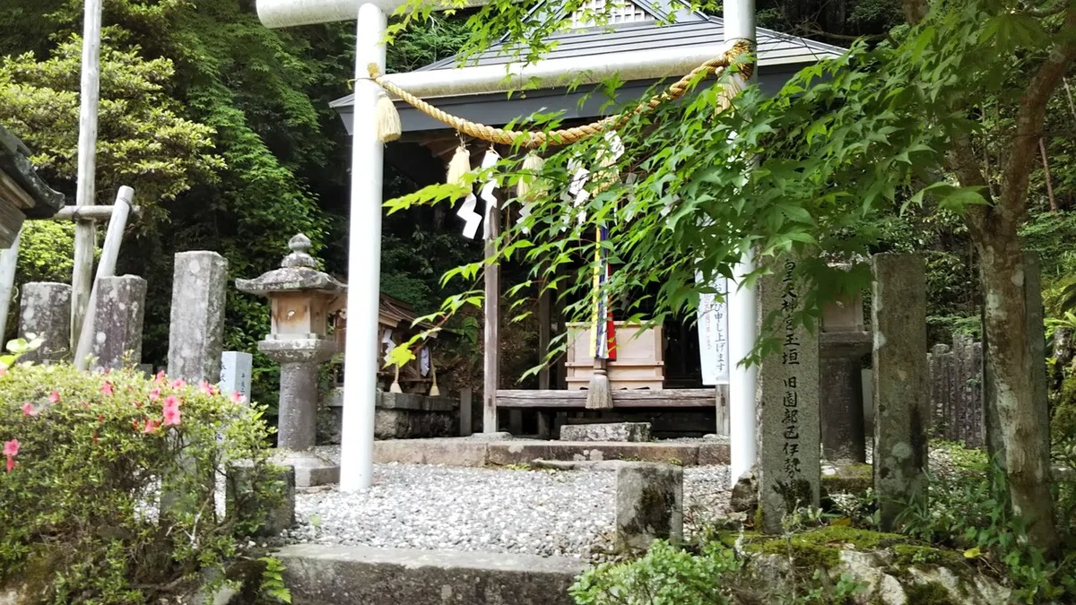 画像17