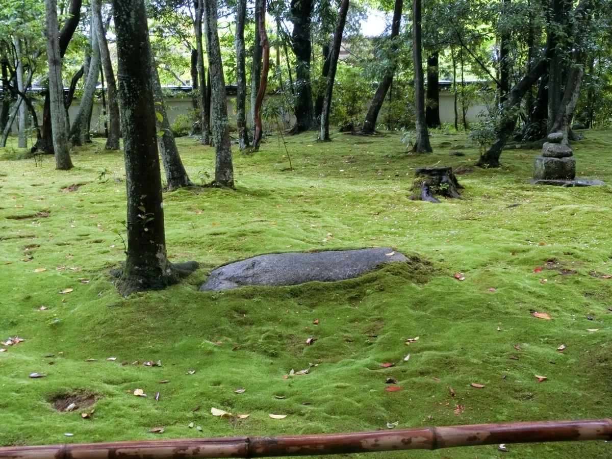 画像14