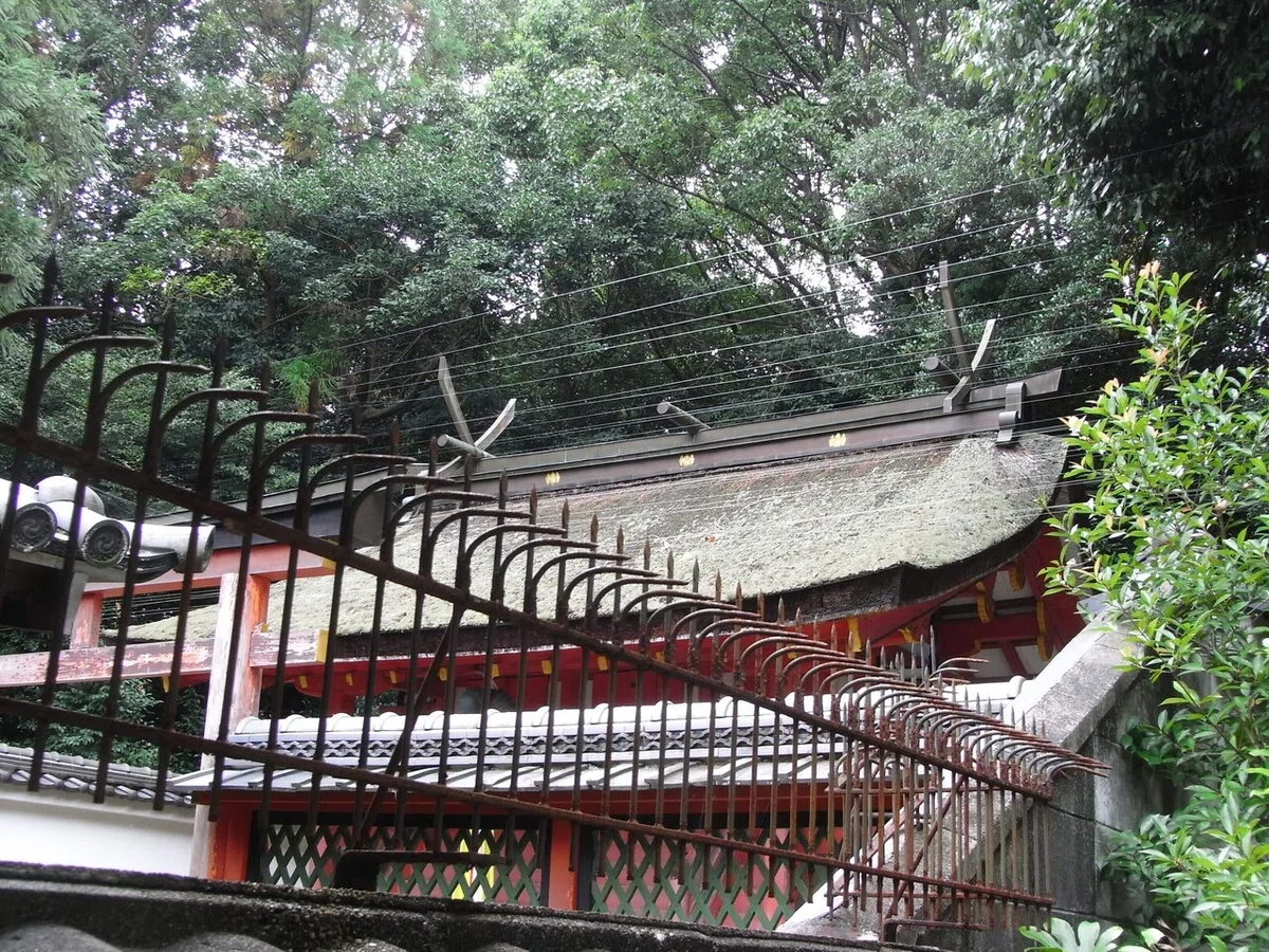 画像30