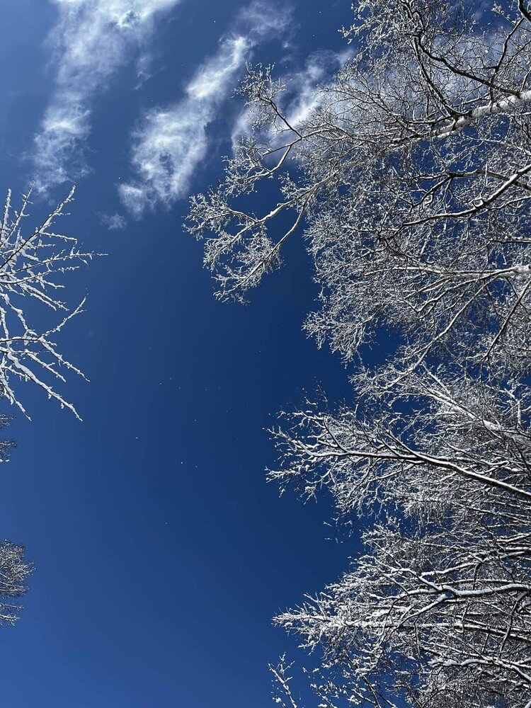 抜ける様な青空が雪化粧した樹木のコントラストが綺麗です。八ヶ岳山麓での冬の暮らしはマイナス15℃になる事もしばしば。真冬の時期の夜はマイナス10℃以下の日々が続きます。まるで冷凍庫の中に住んでいる様です。