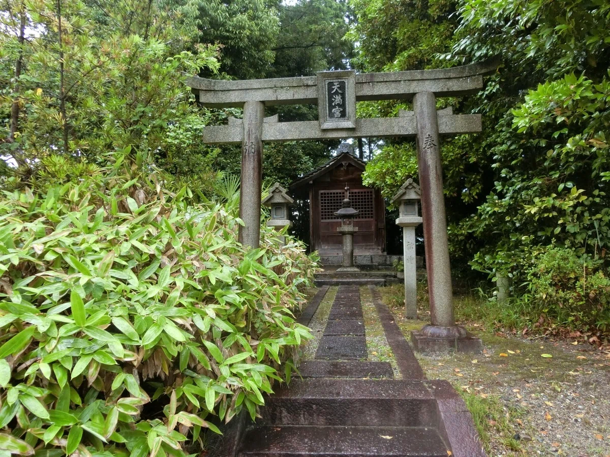 画像5