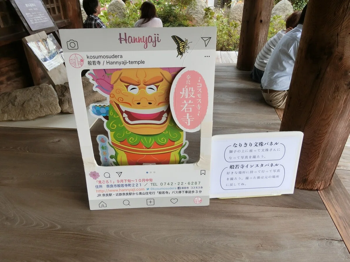画像5