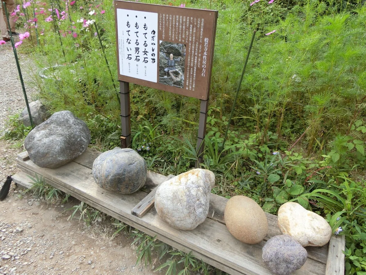 画像6