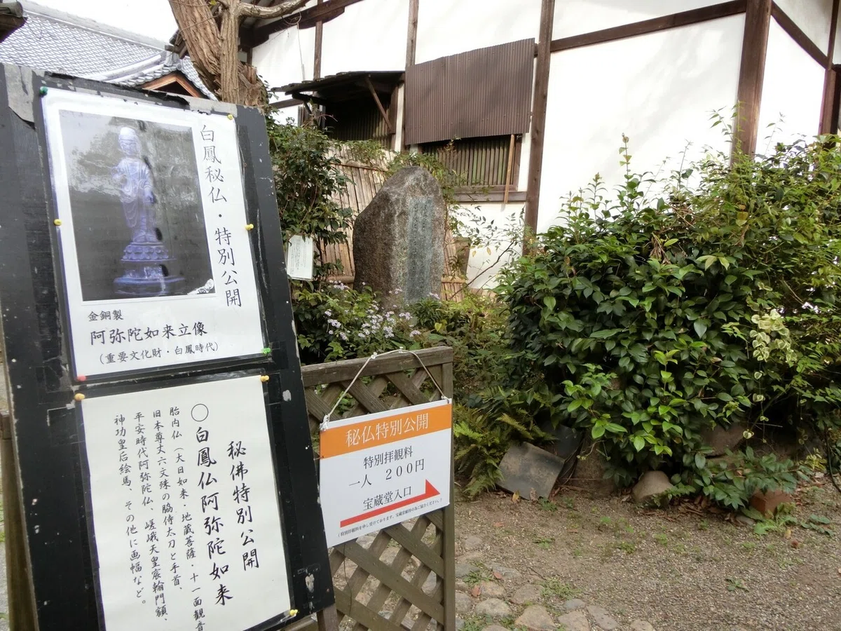 画像11