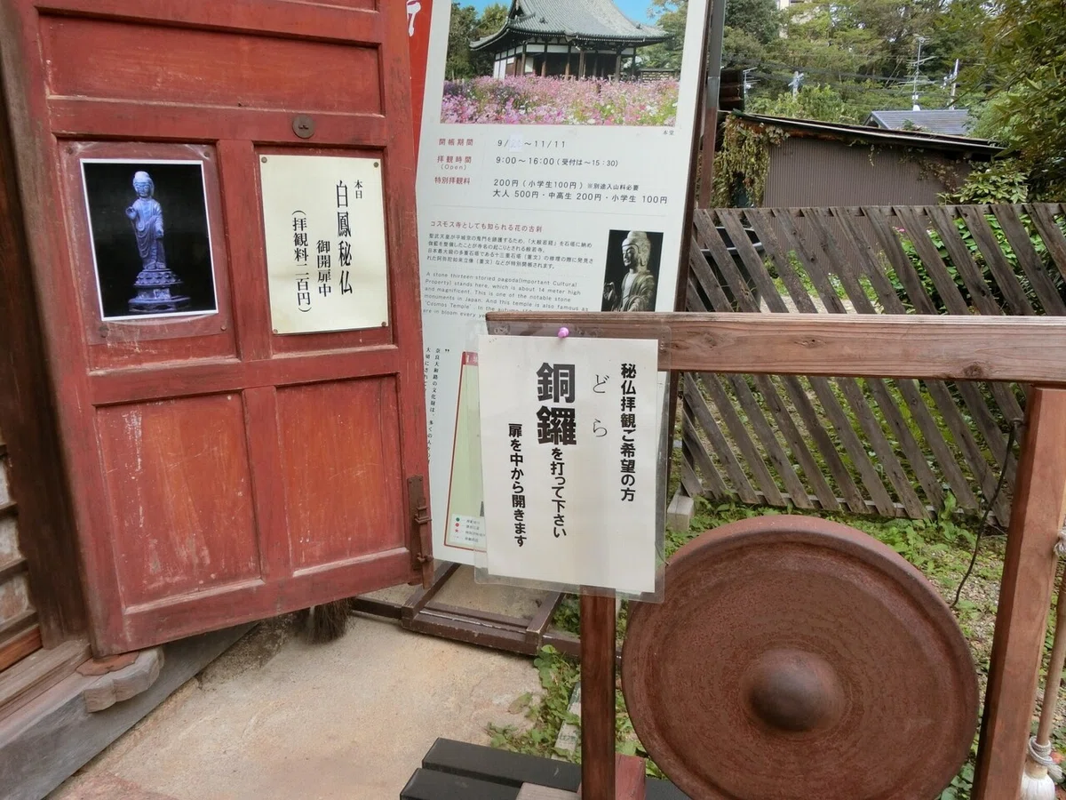 画像12