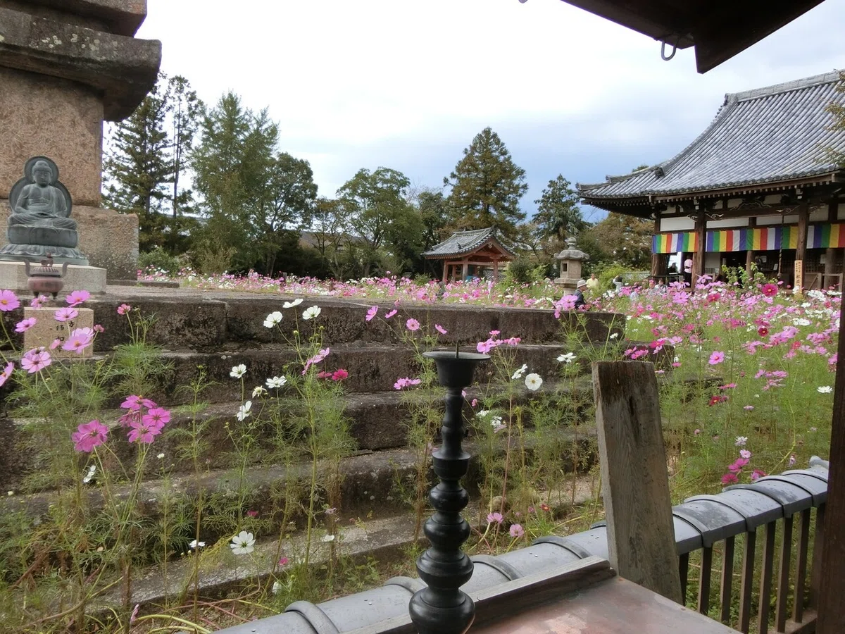 画像19